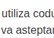 vasilei.raicu